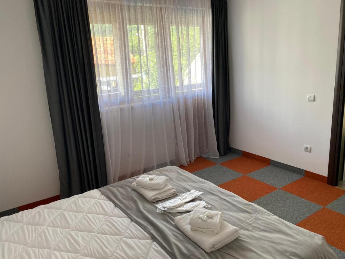 Casa Cerbului Apartment วีเชวเดสซุส ภายนอก รูปภาพ